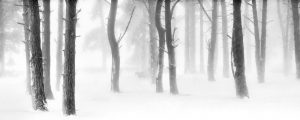 Minus Five