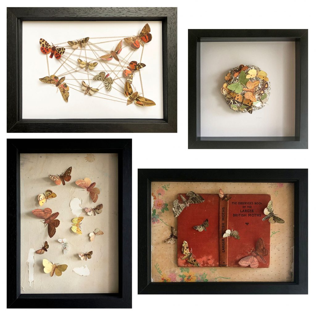 Four Moth Collages