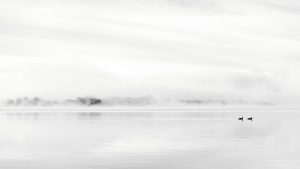Milarrochy in the Mist – Richard Burdon
