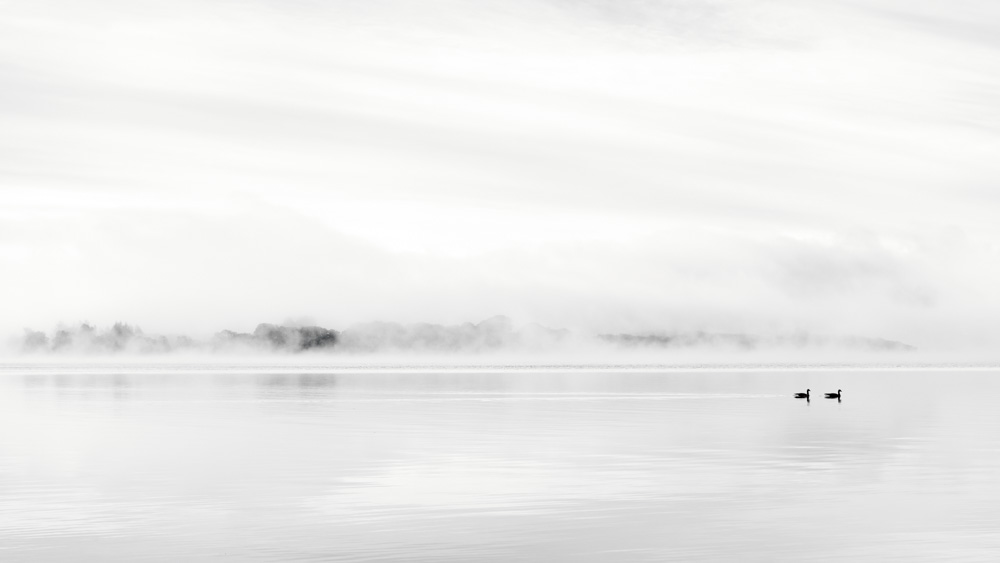 Milarrochy in the Mist – Richard Burdon