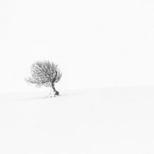 Solitude