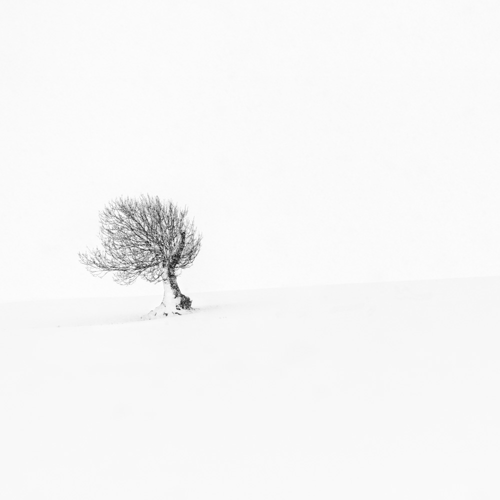 Solitude