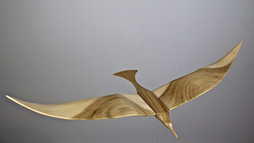 Tulip 1