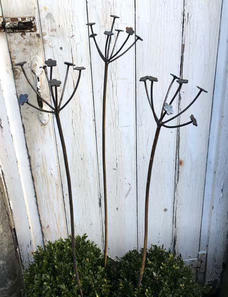 cowparsley