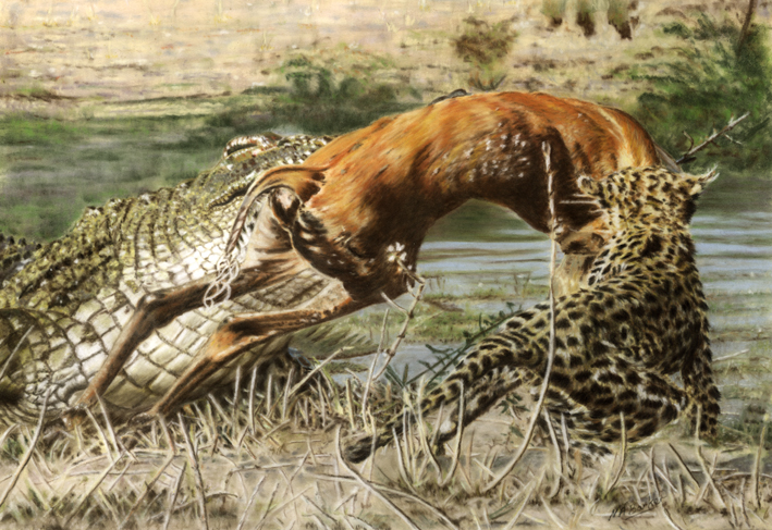 crock vs leopard copy