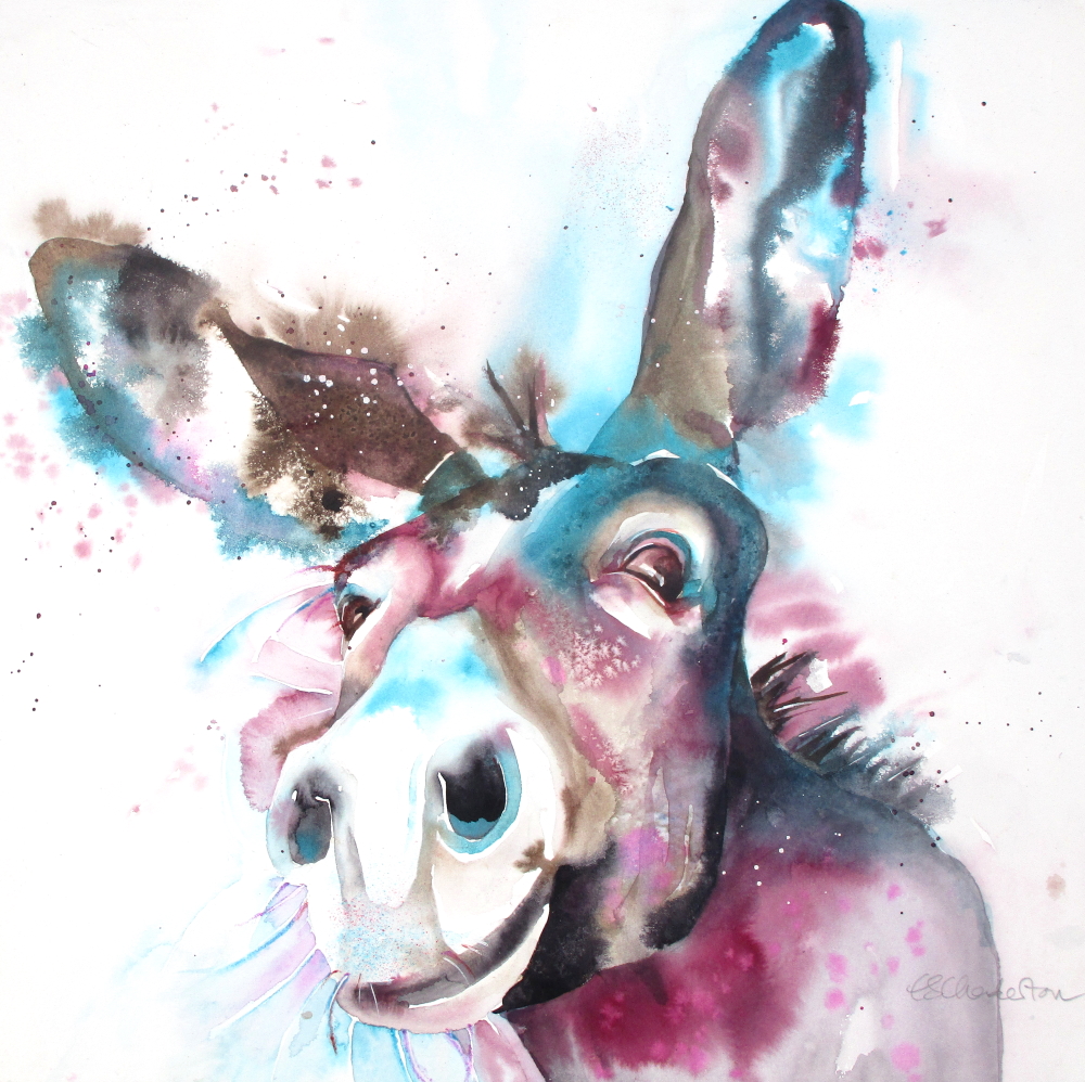 donkey4web