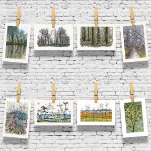Jacqueline May Designs-Greeting Cards