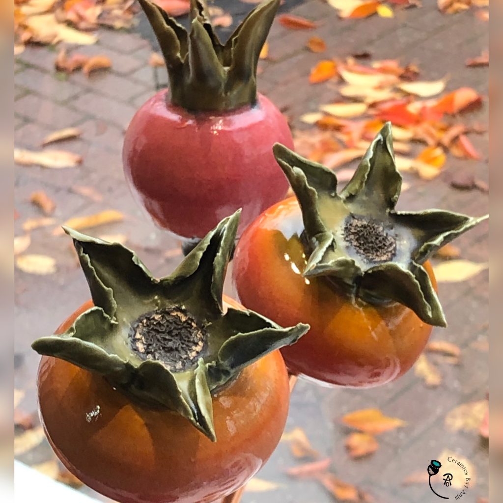 Anja Penger-Onyett, ceramic rosehips