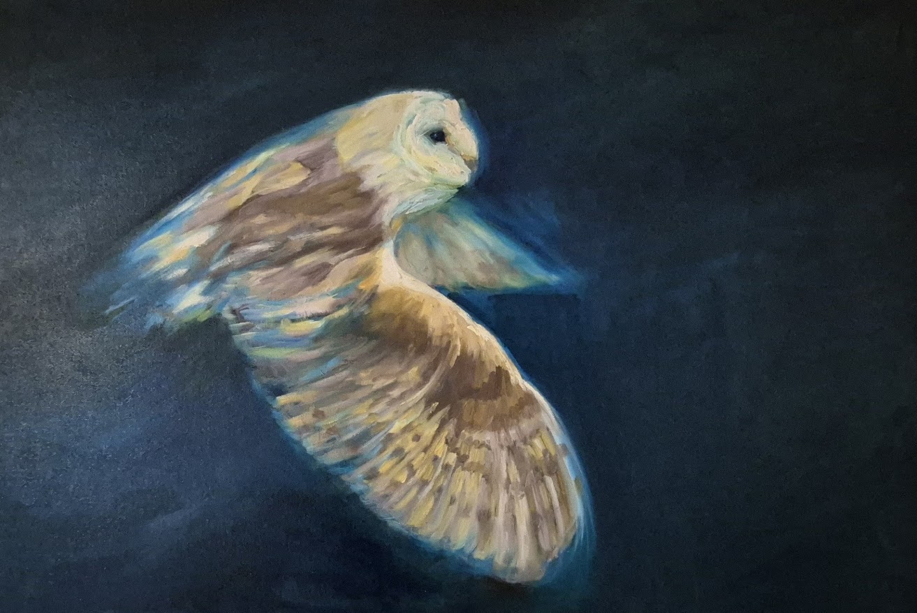 owl-susan-gardner