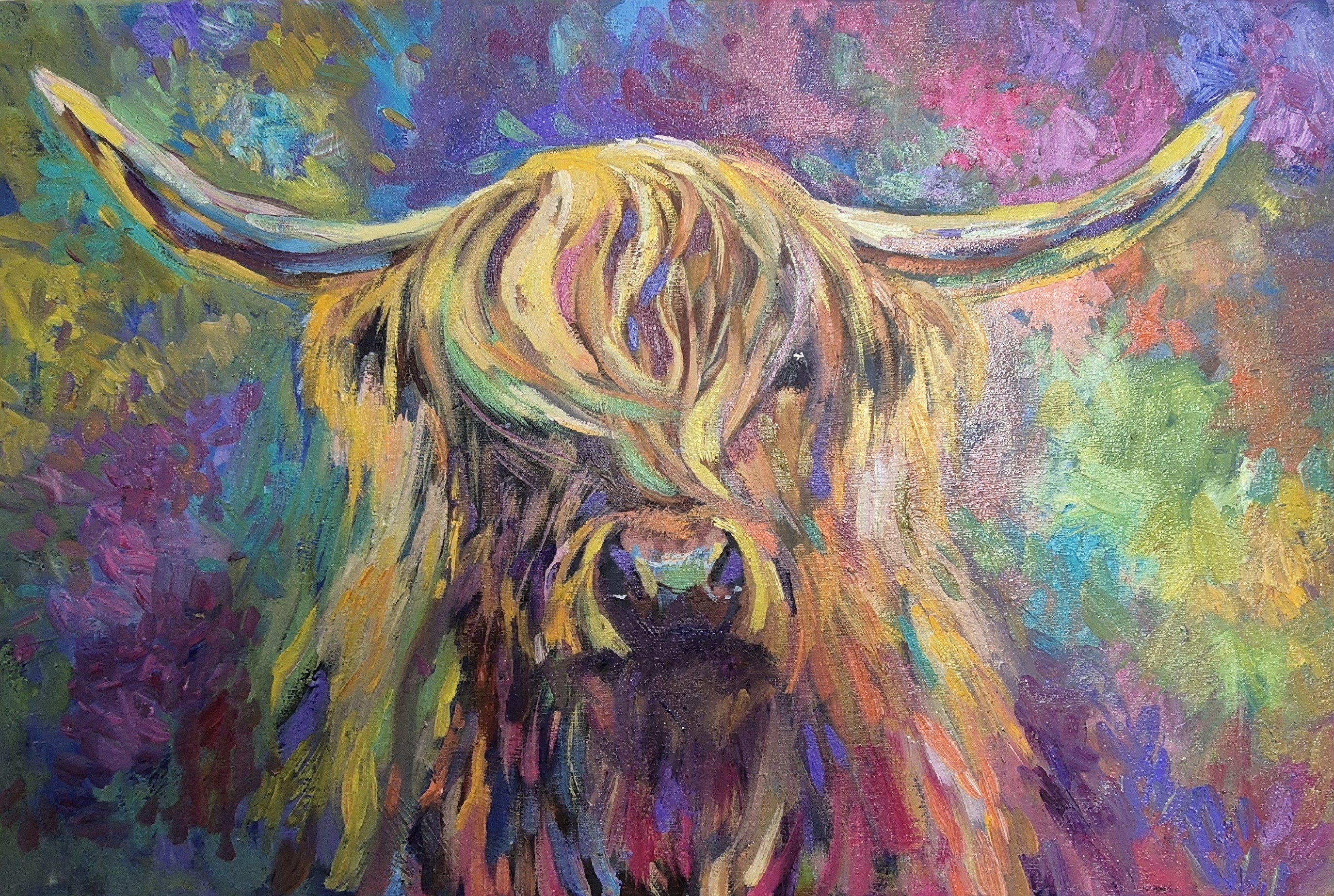 plockton-highland-cow-art-by-sue-gardner