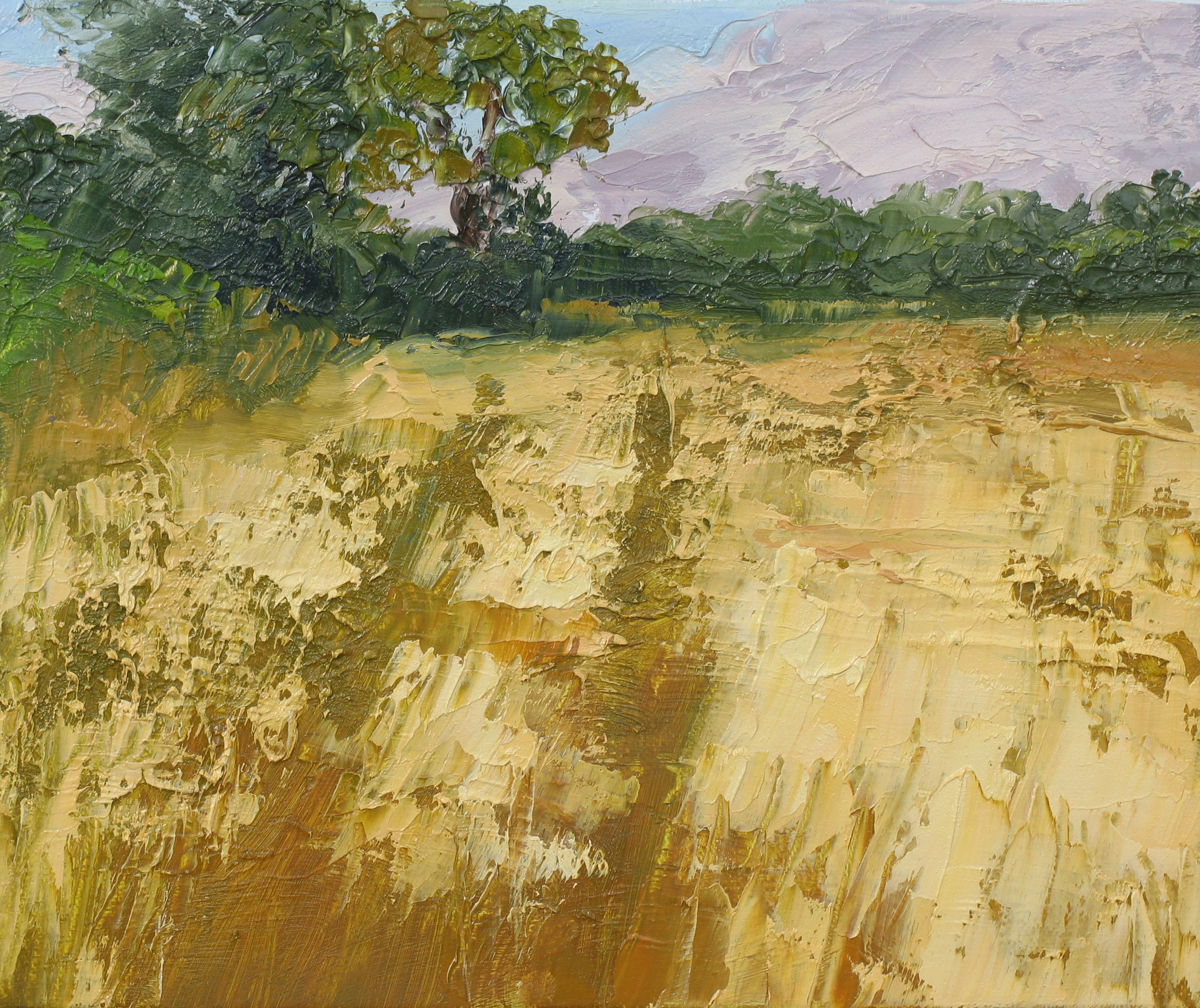 IMG_6261.JPG-Cornfield-study-25-x-30cm-1